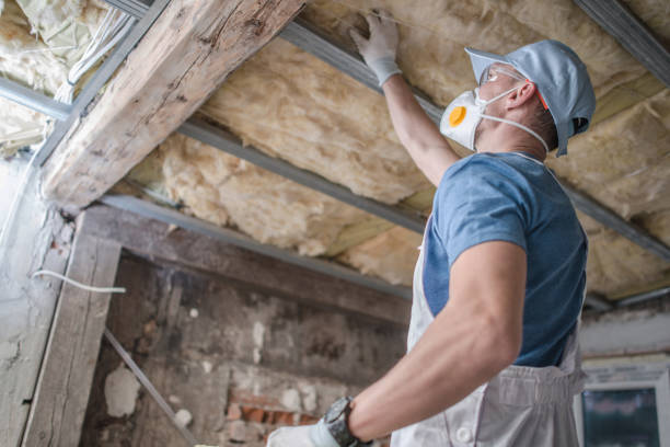 Best Commercial Insulation in Gainesville, FL