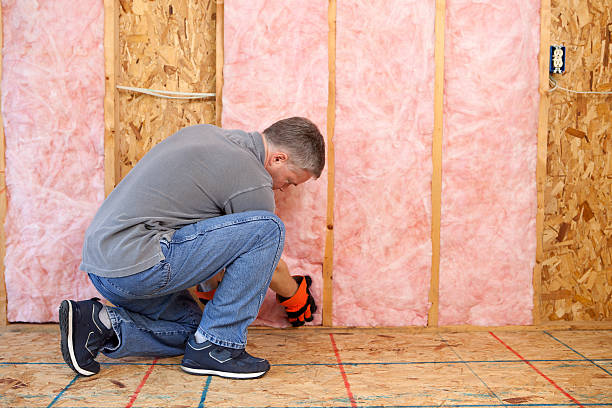 Best Energy Efficiency Insulation in Gainesville, FL