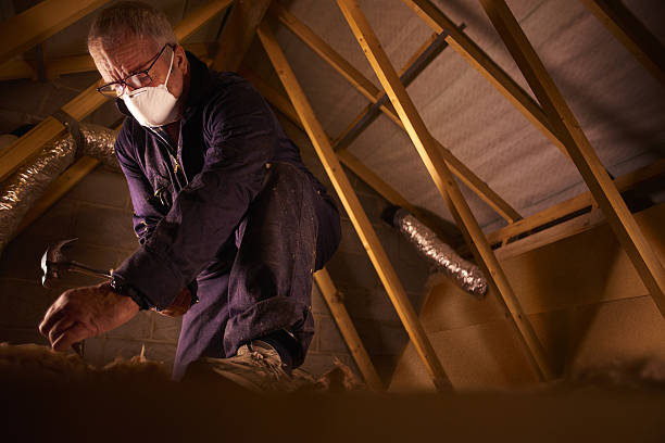 Best Insulation Maintenance and Repair in Gainesville, FL