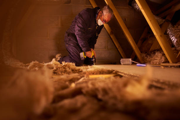 Professional Insulation Contractor in Gainesville, FL